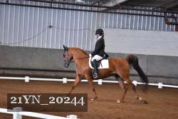 21YN_20244 proof