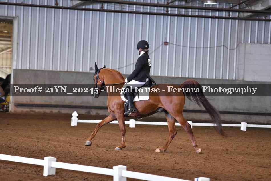 Proof 21YN_20245