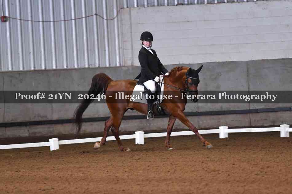 Proof 21YN_20246