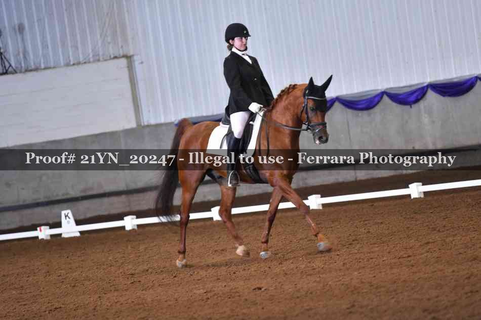 Proof 21YN_20247