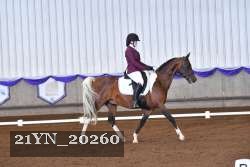 21YN_20260 proof