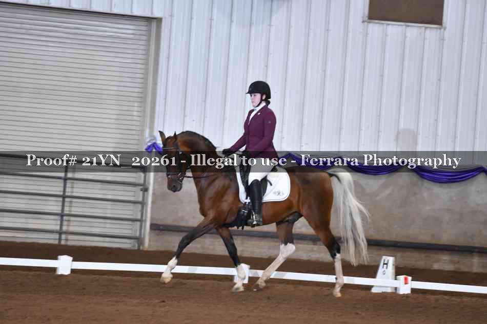 Proof 21YN_20261
