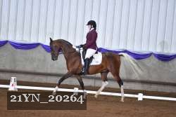 21YN_20264 proof
