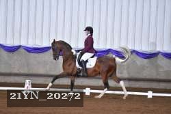 21YN_20272 proof