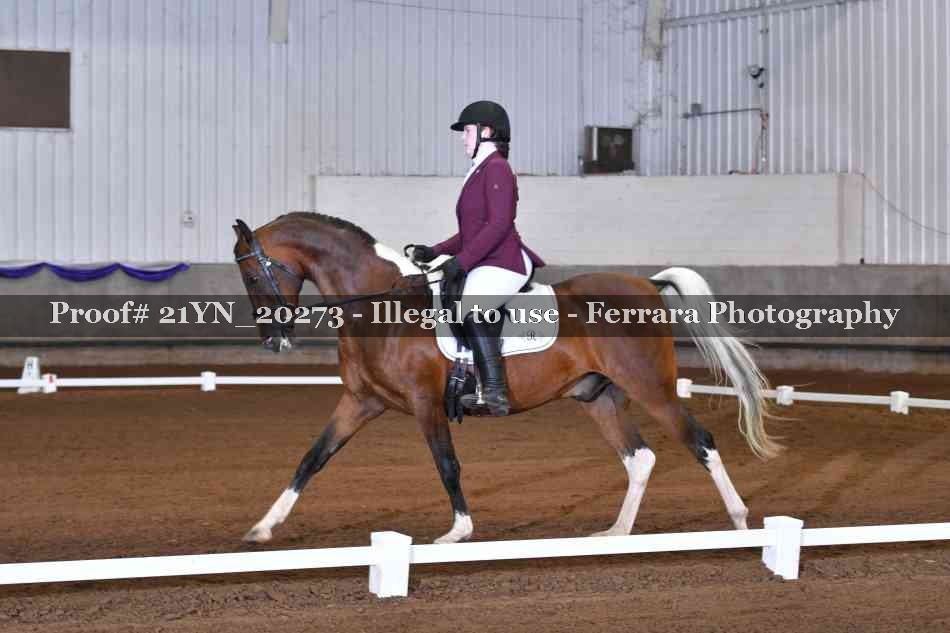 Proof 21YN_20273