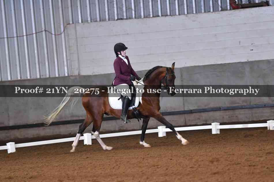 Proof 21YN_20275