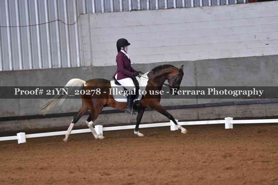 Proof 21YN_20278