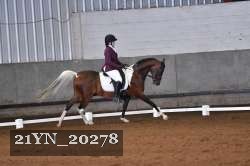 21YN_20278 proof