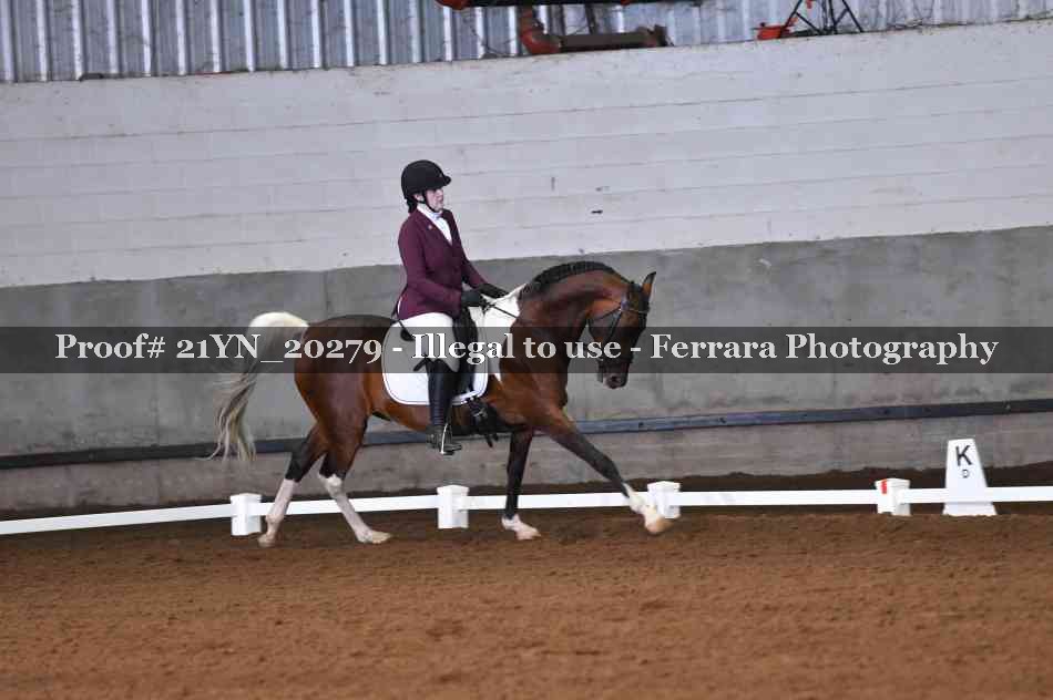 Proof 21YN_20279