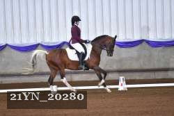 21YN_20280 proof
