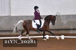 21YN_20281 proof