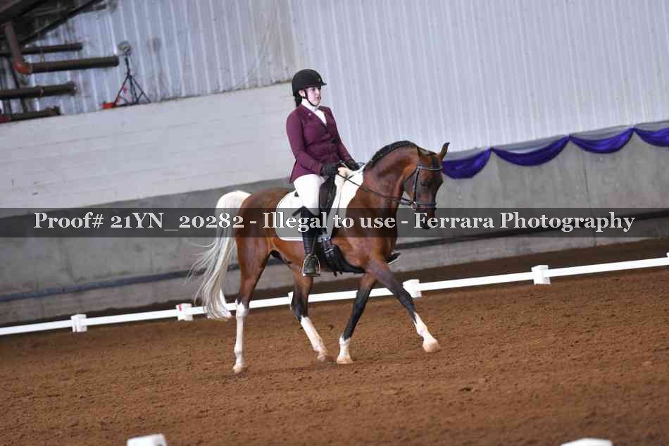 Proof 21YN_20282