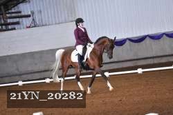 21YN_20282 proof