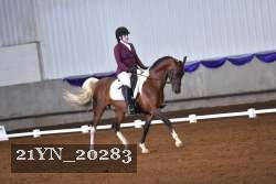21YN_20283 proof