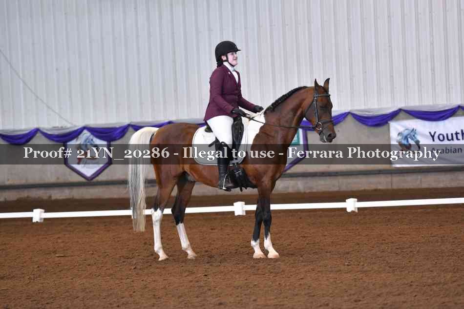 Proof 21YN_20286