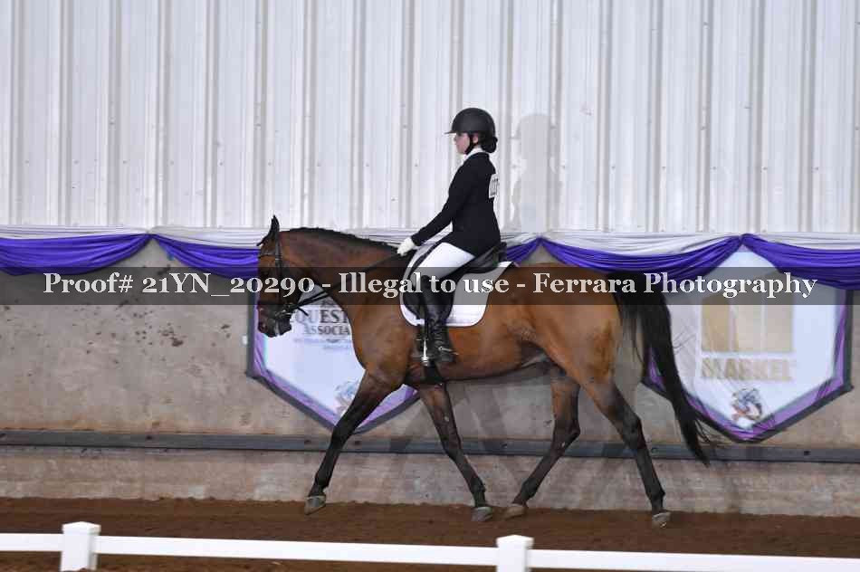 Proof 21YN_20290