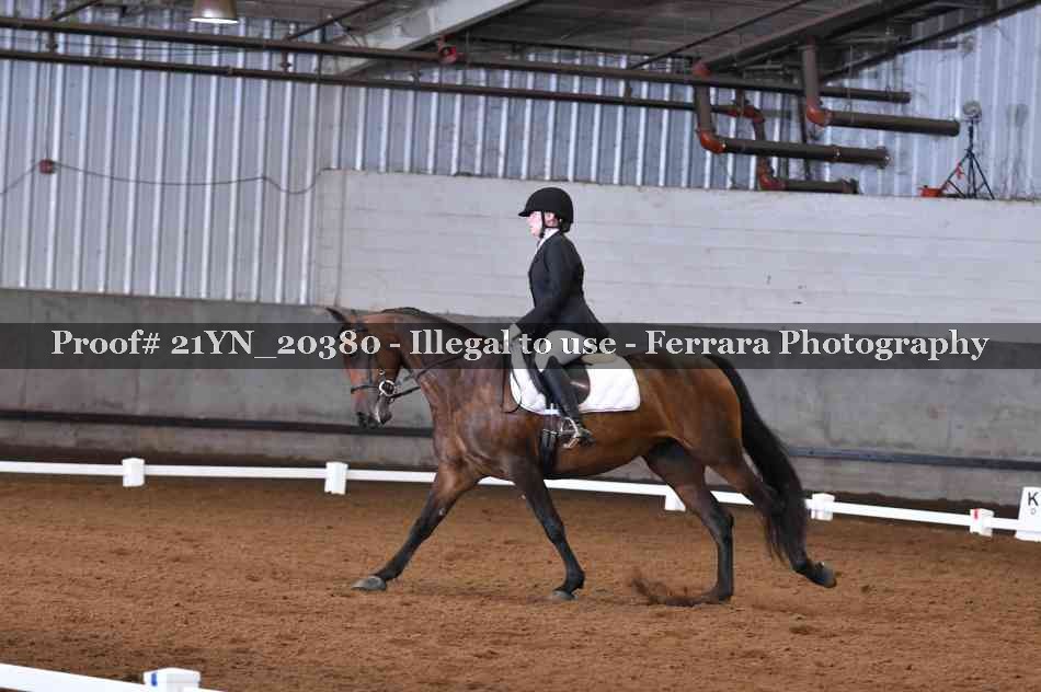 Proof 21YN_20380