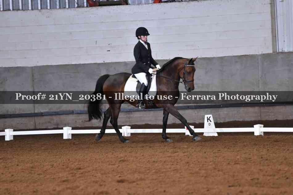Proof 21YN_20381