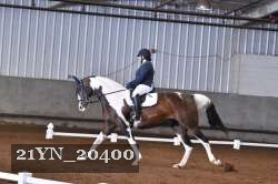 21YN_20400 proof