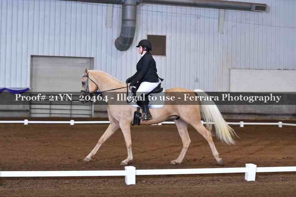 Proof 21YN_20464