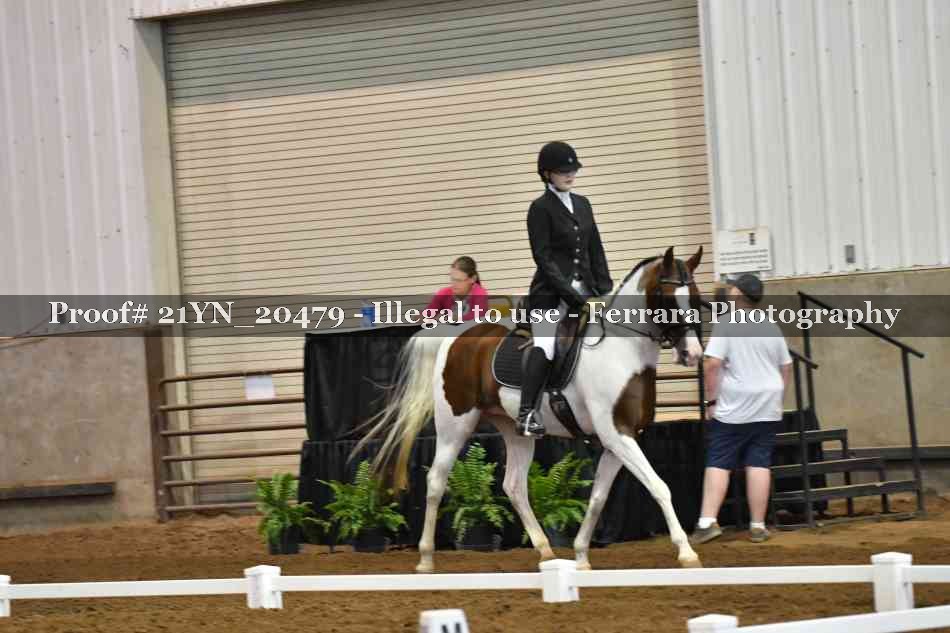 Proof 21YN_20479