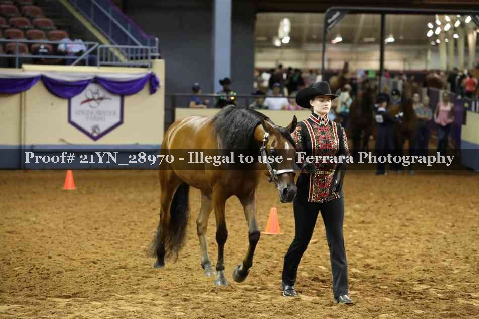 Proof 21YN_28970