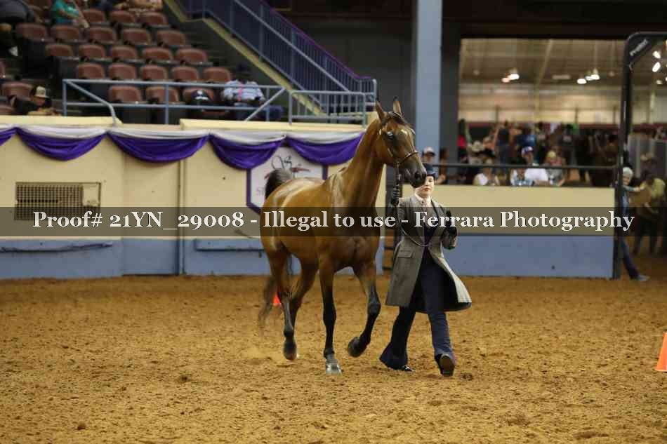 Proof 21YN_29008