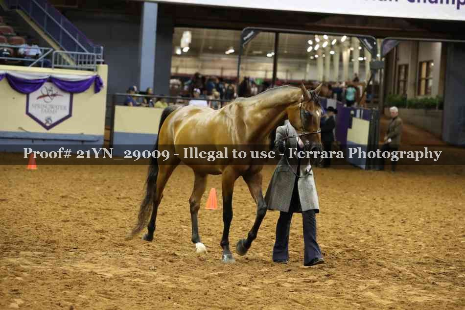 Proof 21YN_29009