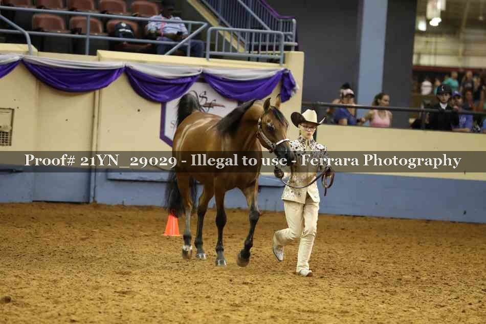 Proof 21YN_29029