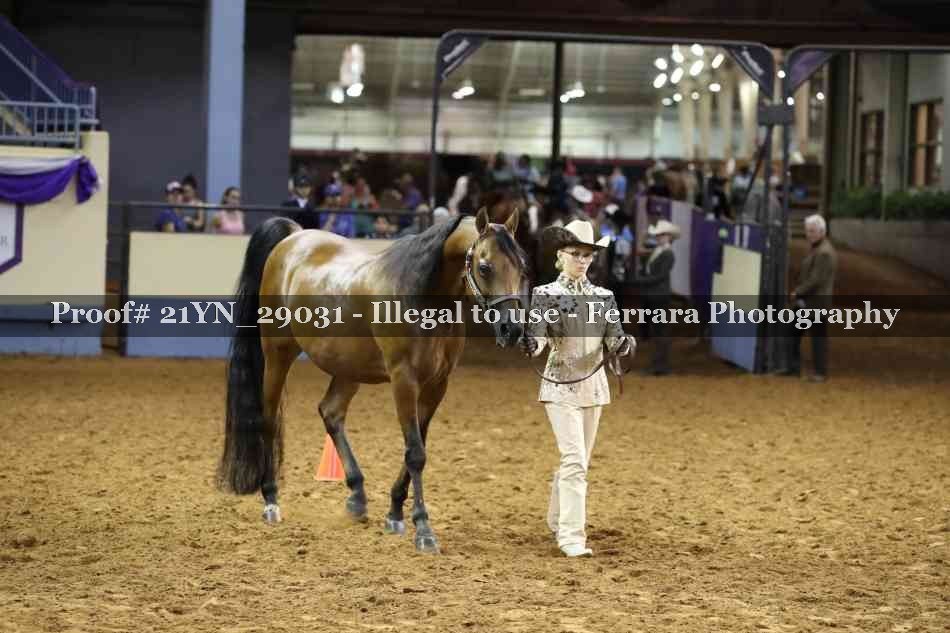 Proof 21YN_29031