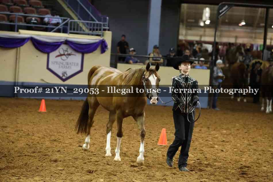 Proof 21YN_29053