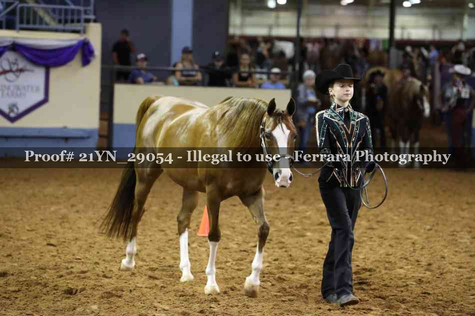 Proof 21YN_29054
