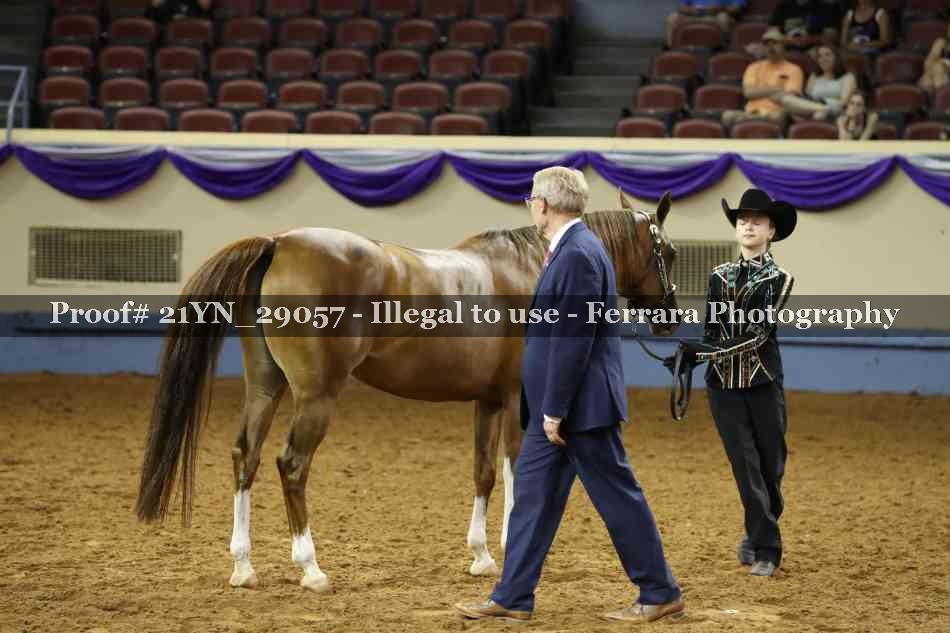 Proof 21YN_29057