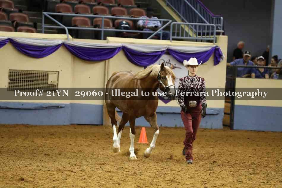 Proof 21YN_29060