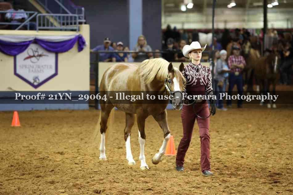 Proof 21YN_29064