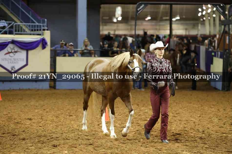 Proof 21YN_29065