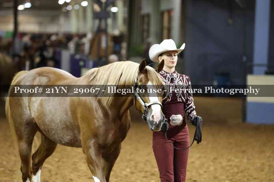 Proof 21YN_29067