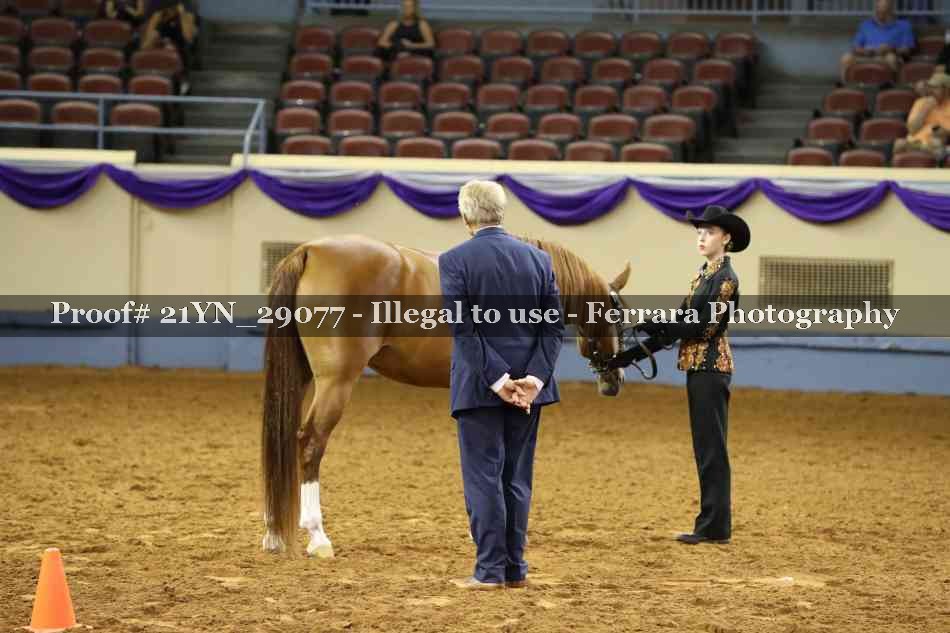Proof 21YN_29077
