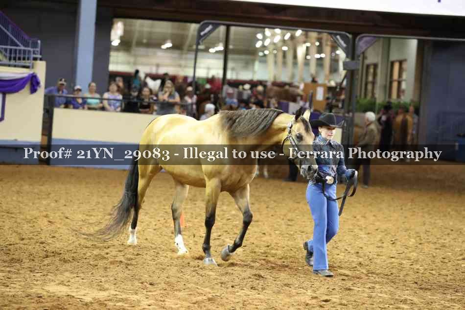 Proof 21YN_29083