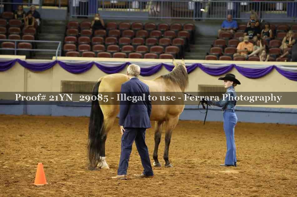 Proof 21YN_29085