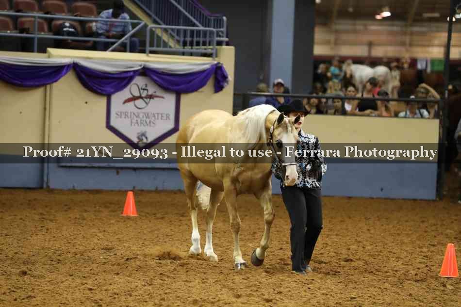Proof 21YN_29093