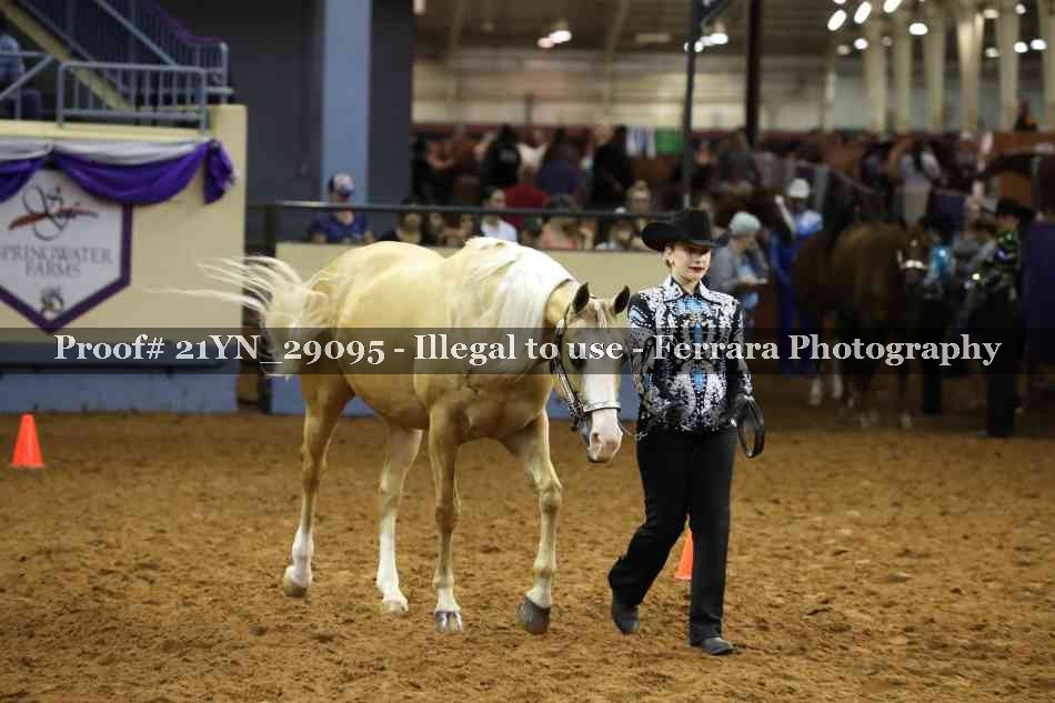 Proof 21YN_29095