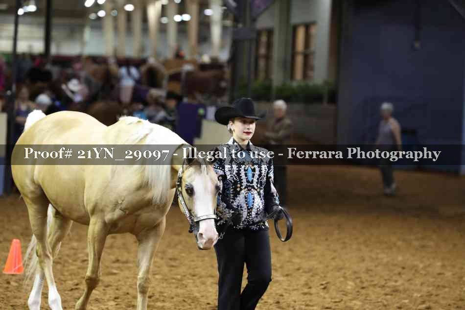 Proof 21YN_29097