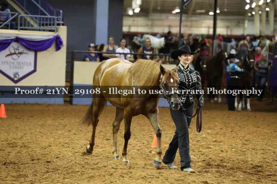 Proof 21YN_29108