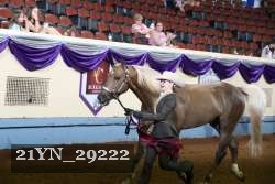 21YN_29222 proof