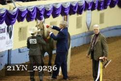 21YN_29236 proof