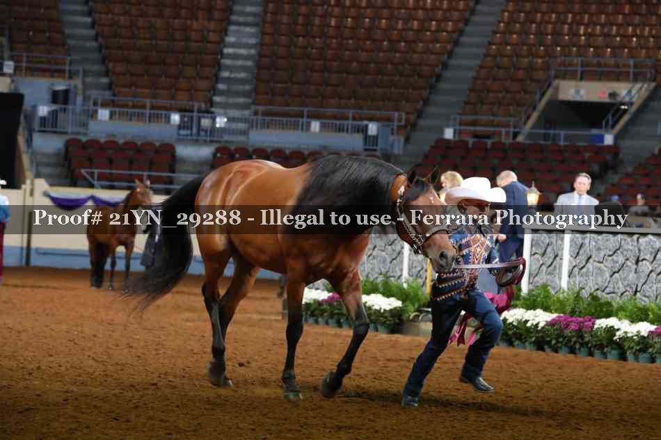 Proof 21YN_29288