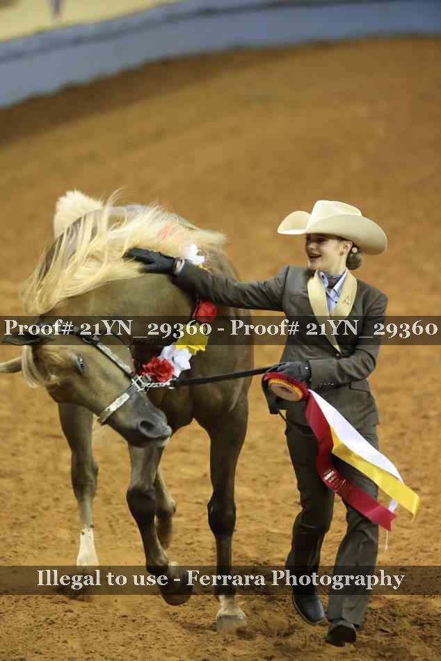 Proof 21YN_29360