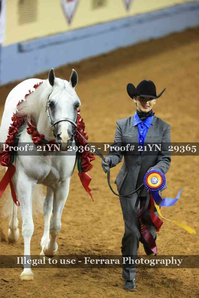 Proof 21YN_29365
