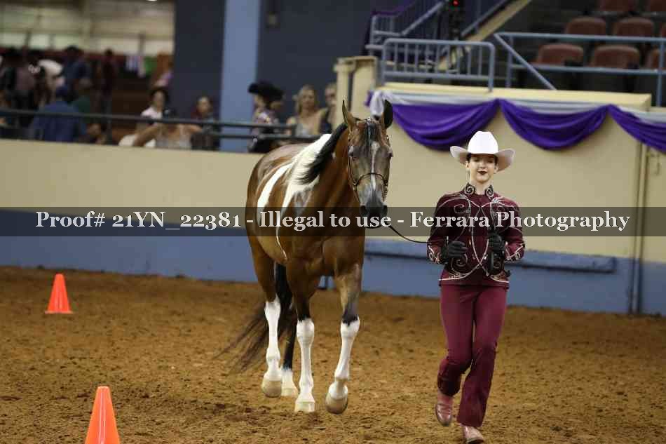 Proof 21YN_22381